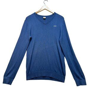 Hollister Mens V-Neck Sweater Medium Blue Knit Pullover Long Sleeve Casual